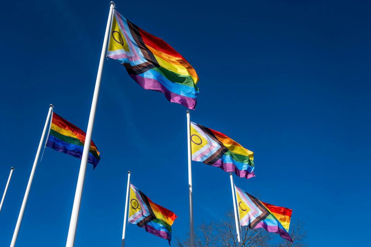 logo Tribune - Lutte contre les LGBTIphobies, le compte n'y est toujours pas